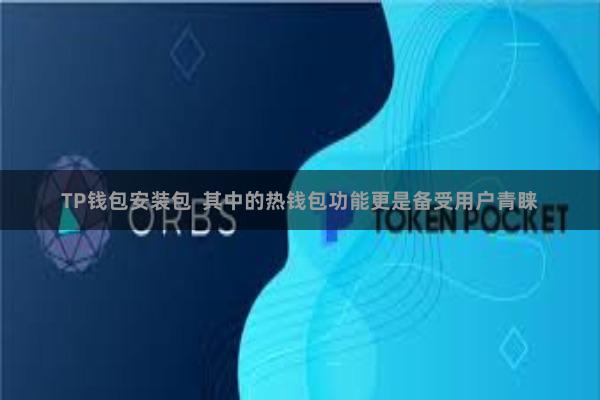 TP钱包安装包 其中的热钱包功能更是备受用户青睐